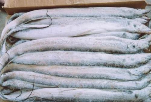 1572070409775753.jpg 冷凍水產(chǎn)品進(jìn)口清關(guān)