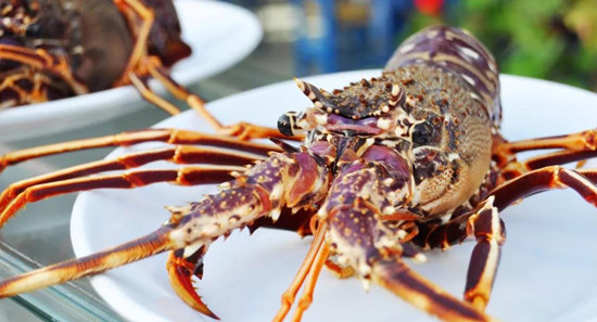 1583976715556480.jpg 2018-12-11-16-49-30-437-2_副本.jpg