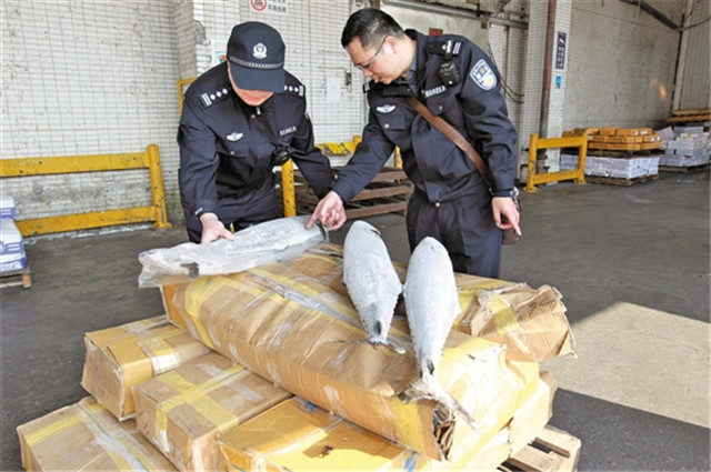 1587691679861679.jpg 菲律賓凍魚進口報關