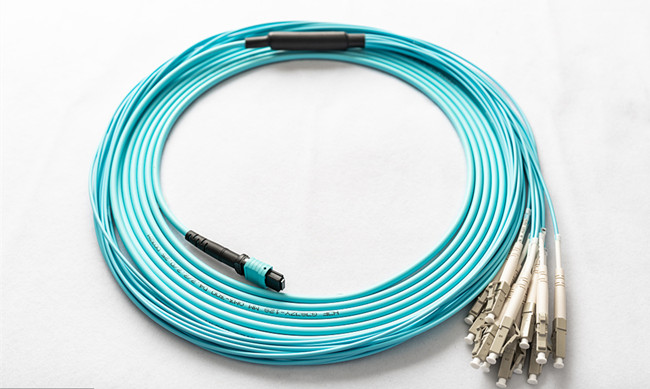 1595812861386664.jpg 光纖進(jìn)口報關(guān)代理