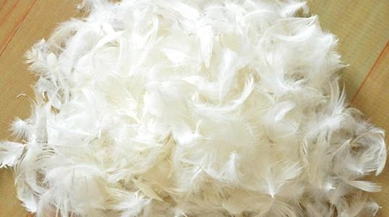 鴨毛進口報關(guān)