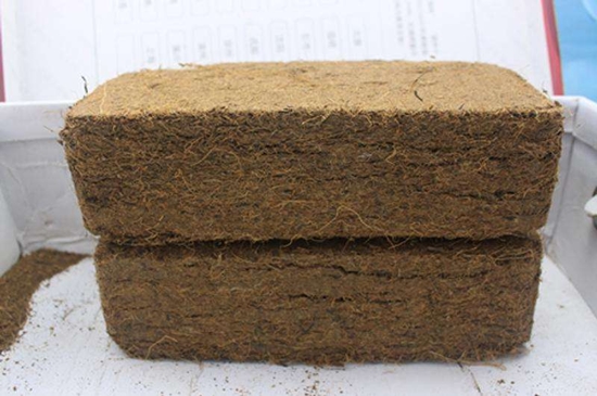 1599875052269069.jpg 椰糠進口清關(guān)