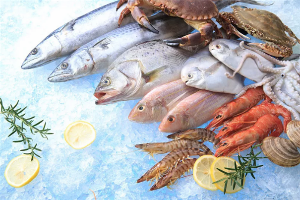 廣州海鮮進口報關(guān)進口商所需資質(zhì)以及流程 廣州海鮮進口報關(guān)