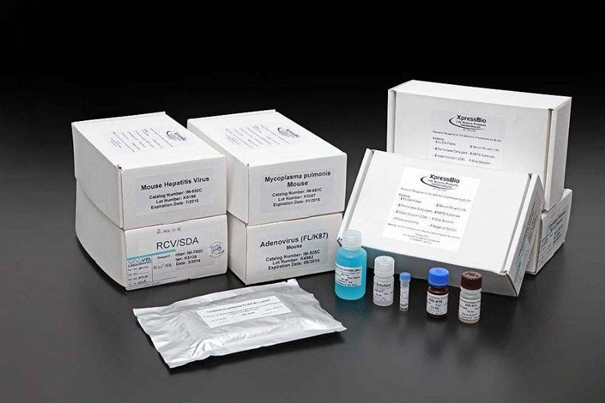 1639982035396984.jpg 美國(guó)進(jìn)口生物試劑報(bào)關(guān)常見(jiàn)問(wèn)題_副本.jpg