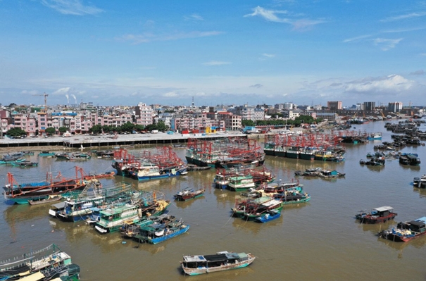 1645443713278063.jpg 廣西防城港報關(guān)行_副本.jpg