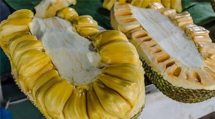 1648035250383097.png 菠蘿蜜進口清關代理_副本.png