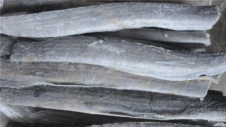 1651834536200948.png 冷凍帶魚清關公司_副本.png